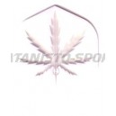 Flight Poly Met Standaard Darsus - 015