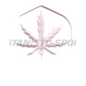 Flight Poly Met Standaard Darsus - 015