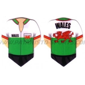 Flight Shirt - 021 Wales