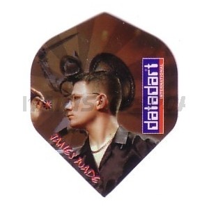 Flight Profdarters Standaard - 317 James Wade