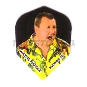 Flight Profdarters Standaard - 308  Wayne Mardle