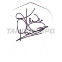 Flight Profdarters Standaard - 049 Kevin Painter