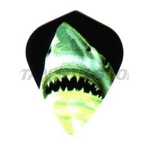 Flight Metronic Kite - 002