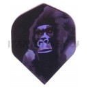 Flight Quazar Standaard - 112